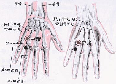 中主穴|醫砭 » 經穴庫 » 中渚